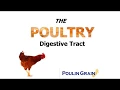 The Poultry Digestive Tract