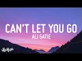 Download Lagu Ali Gatie - Can't Let You Go (Lyrics)