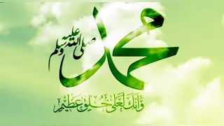 هو الحبيب الذي ترجى شفاعته مصطفى العفيفى 