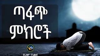 ጣፋጭ ምክሮች ELAF TUBE ኢላፍ ቲዩብ 