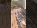 Never use paint on a deck because this will happen