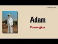 Adam Pamungkas Lirik