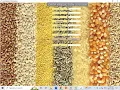 Crop prediction using machine learning Engineering Project Final Year Project PythonProject