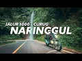 Download Lagu Akhirnya Lewat Jalan Viral!! PANGANDARAN - DEPOK via Naringgul