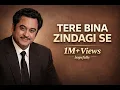 Tere Bina Zindagi Se Koi Shikwa To Nahin – Kishore Kumar | Timeless Bollywood Classic