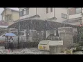 Download Lagu Superzware regenval in Kagoshima Japan, wandelen in de regen, slapeloosheid verdwijnt onmiddellijk