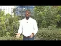 Are Some Postcodes Dangerous - BBC News Ben Hunte