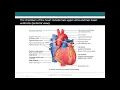Download Lagu 1. Heart intro through valves