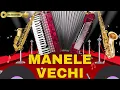 Lagu Manele Vechi‼️Muzica de Petrecere🪗Colaj De Joc 2025 - Acordeon instrumental‼️