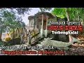 Download Lagu Dikira Rumah Mewah Kosong Terbengkalai Ternyata Ada Wanita Cantik Yang Menempati Di Rumah Patung Ini