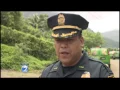Dogs Rescued from Kahaluu Breeder - May 2016