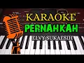 Download Lagu PERNAHKAH - ELVY SUKAESIH - KARAOKE DANGDUT LAWAS + FULL LIRIK