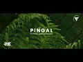 Download Lagu dj pingal terbaru full bass glerr 2022