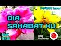 Download Lagu DIA SAHABAT KU TOMMY J PISA DANGDUT LAWAS