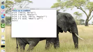 Using Comments in Python