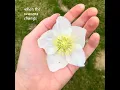 When The Seasons Change