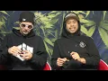 Strain Tasters Cannabis Reviews - Sunset Runtz