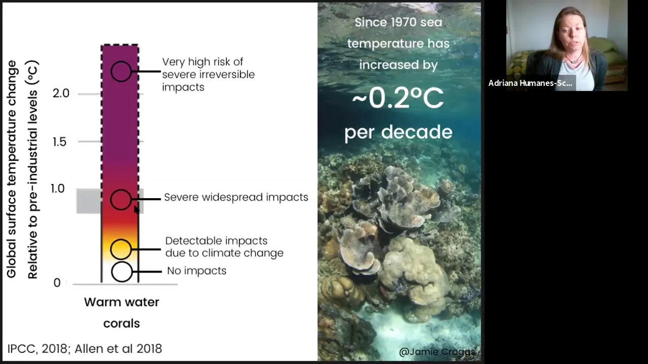 Methods to propagate corals from eggs to adults for selective breeding programs - Dr Adriana Humanes