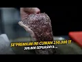 Download Lagu T-BENE DI DATENGIN 2 INFLUENCER KULINER !!! APA KATA MEREKA ???