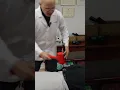TOK SEN Thai HAMMER On Floridian