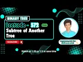 Subtree of Another Tree Leetcode 572 Approach Code with explanation
