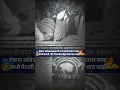 Download Lagu Namvistar Din Status | 14 January Status | DrBabasaheb Ambedkar Marathwada Vidyapeeth#jaybhim#shorts