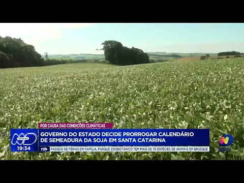 Calendário de plantio de soja em SC é prorrogado devido a prejuízos causados por fortes chuvas