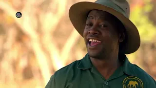 holiday in the wild movie explained in hindi urdu holiday in the wild summarized