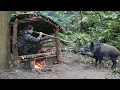 Lagu Building a Cozy Shelter for the Harsh Winter | Wild Boar Breaks In at Midnight, survival alone