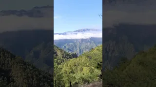 Toujours plus de découvertes, que ce soit en mer ou dans les nuages de la Palma 🗻🏝️