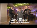 Download Lagu Ork Adrian de la Bobesti - Hora Tanana ( Video Official 2025 ) 🍀