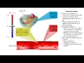 Chemical Buffers - protein buffer phosphate buffer system and bicarbonate buffer system