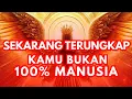Lagu JIWA TERPILIH🌟Misteri Asal-Usulmu terungkap | Kamu Bukan 100% Manusia Biasa