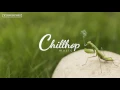 Stan Forebee - Apple Juice [Chillhop Records]