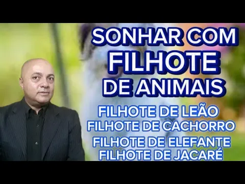 Download MP3 SONHAR COM FILHOTE DE LEÃO SONHAR COM FILHOTE DE CACHORRO SONHAR COM FILHOTE DE ELEFANTE