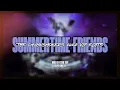 Download Lagu [Audio] The Chainsmokers - Summertime Friends (2024 VIP Edit)