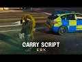 ESX Carry Script Realistic Carry Animation for FiveM Roleplay Servers - FiveM Script
