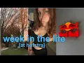 average week in the life as a college student at hofstra university