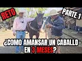 Download Lagu ¿Como AMANSAR un CABALLO en 3 MESES? | De BRUTO a ENFRENADO, DOCIL Y LAZANDO | RancheandoAndo