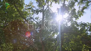 imebumaaslay x alikiba bembea official music video 