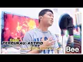 Download Lagu Bee - Terpukau (Astrid Cover)