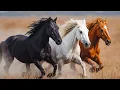 Download Lagu Beautiful Melody To Tears! Relaxing Music For Relieving Stress, Anxiety And Depression