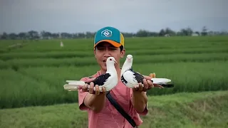 TEST TERBANG LANGSUNG MERPTI PLONTANG INI