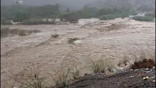 سيول جارفة في مدينة البرح وجبل حبشي تعز اليمن