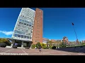 KUST Chenggong Campus - where 🌸Winter Cherry meets 🍂Golden Leaves｜4K Driving Tour+Chill Beats+Lofi