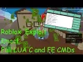 New Roblox Impact Patched FE CMDs Full LUA C And More