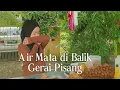 Download Lagu Bukan Sekadar Pisang Goreng: Ini Tentang Air Mata yang Tak Pernah Turun