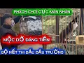 Lagu MỘC DỞ ĐÁNG TIỀN- BỘ NẾT THI ĐẤU ĐẤU TRƯỜNG- PHÁCH CHƠI CUP CẦU SIÊU MẪU 3 MẶT CỰC MÃN NHÃN