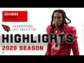 DeAndre Hopkins Full Season Highlights NFL 2020