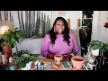 Small Business Organization Michaels